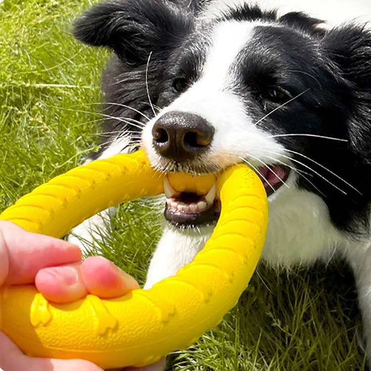 EVA Pet Eraztun Jostailua